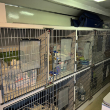 Close-To-Home-Veterinary-Care-Tour-02
