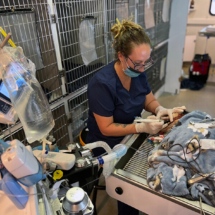 Close-To-Home-Veterinary-Care-Tour-04